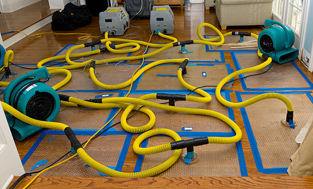 Professional Flood Damage Restoration technician working in Newhebron, MS